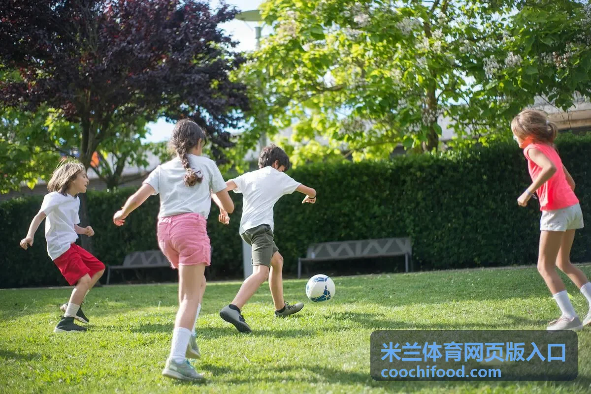 米兰体育网页版入口赛事看台与赛程示意